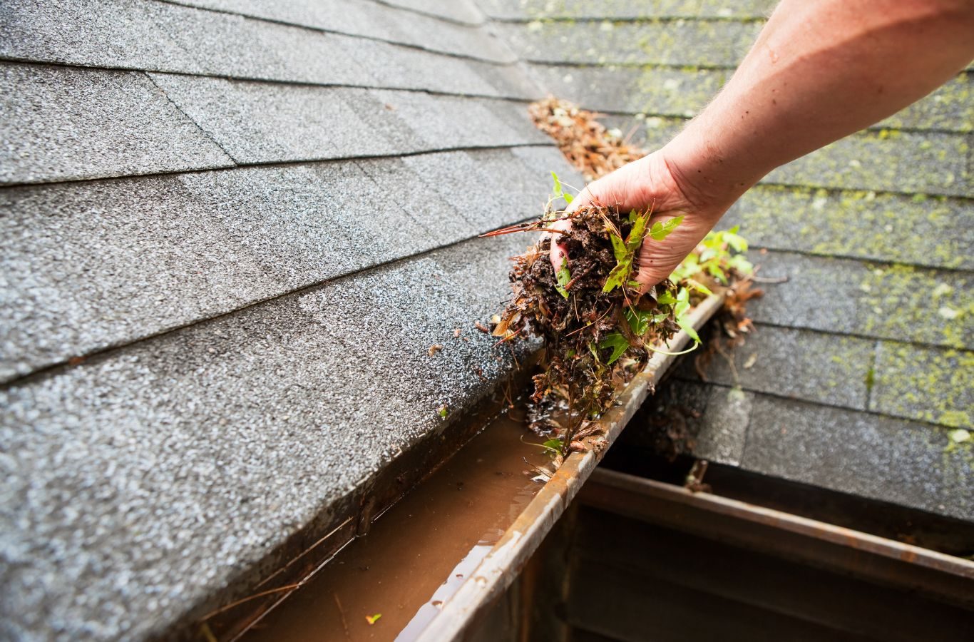 Protek Gutters team performing thorough gutter cleaning in Springfield, MO, removing leaves and debris to ensure efficient water drainage.